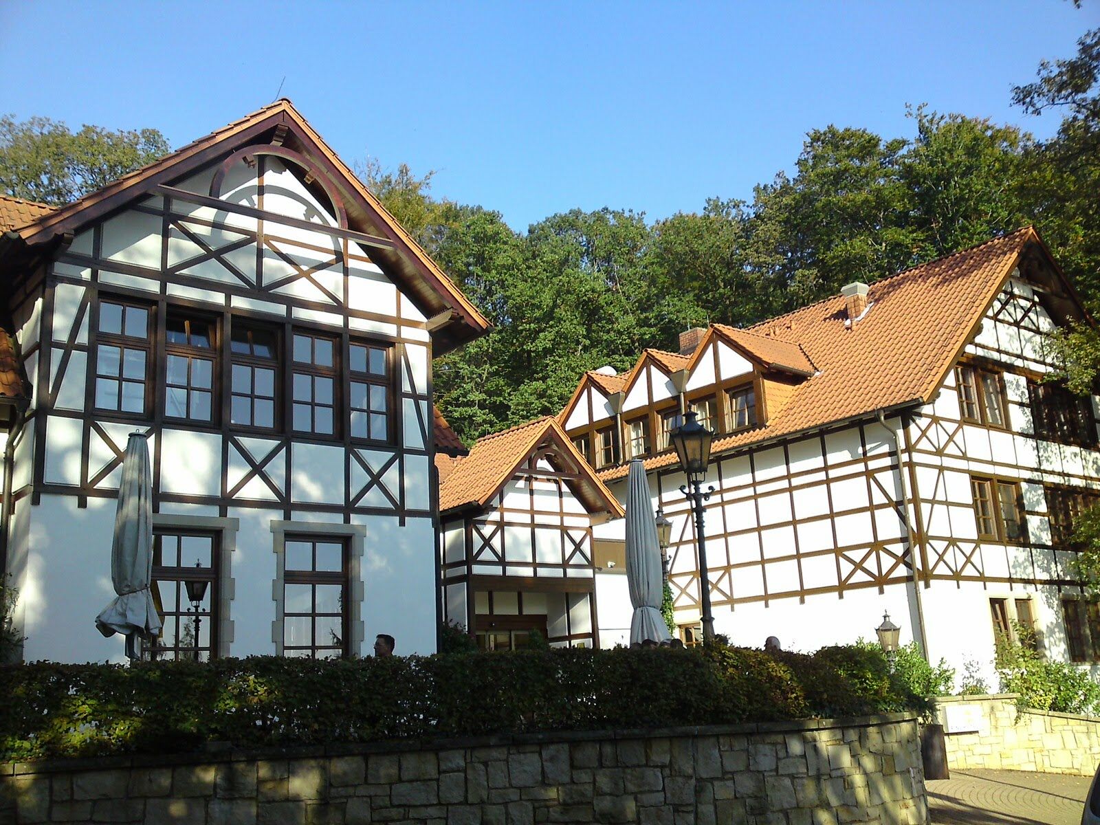 Ringhotel Der Waldkater Ринтельн Экстерьер фото